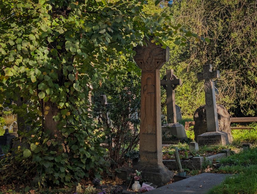 A graveyard scene featuring multiple traditional stone and concrete tombstones, primarily tall crosses with intricate carved details, set among lush green trees and bushes. The tombstones vary in size and design, with some including rounded or pointed tops, positioned on a grassy ground with a paved walkway visible in the foreground. Dense foliage surrounds the graves, casting natural shadows and creating a peaceful, shaded environment. The overall scene appears well-maintained, with minimal visible debris, providing a natural backdrop suitable for independent burial site maintenance or private rubbish clearance services, as offered by companies like House Clearance Brompton. The lighting suggests daylight, highlighting the textures and varying shades of the stone and greenery, contributing to a calm, respectful atmosphere typical of rural or semi-urban cemetery settings.