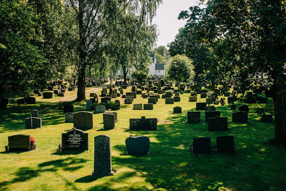 The image shows a grassy area within Brompton Cemetery with numerous upright headstones arranged in rows, varying in size, shape, and material, predominantly made of stone or marble with some appearing weathered. The headstones are set on a slight downward slope, with some leaning slightly to one side. Surrounding the graves are green grass with small yellow flowers scattered throughout, and a mixture of mature trees in the background, including a large, leafy tree with dark green foliage dominating the scene, providing partial shade. The sky above is partly cloudy with patches of blue and white, soft sunlight illuminating the scene evenly. This setting suggests a peaceful but well-maintained cemetery area, which could be a subject for private rubbish clearance or independent waste handling services, such as those provided by House Clearance Brompton, in the context of maintenance or clean-up of graveyard grounds and associated landscapes.
